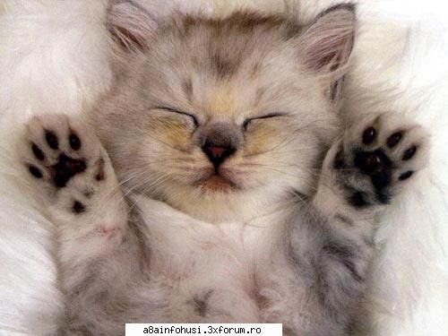 ehhhaa... da gata, nu mai conteaza consumat :nod: certuri