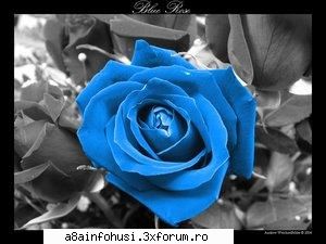 Profilu' - hop sh yo....maii la urma asha.... yo vrau - Clasa Noastra